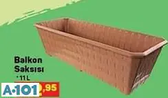 BALKON SAKSISI BALKON SAKSISI